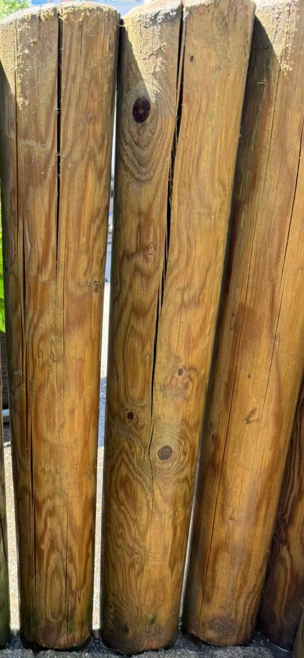 Holzfläche nach der Reinigung – Arbon