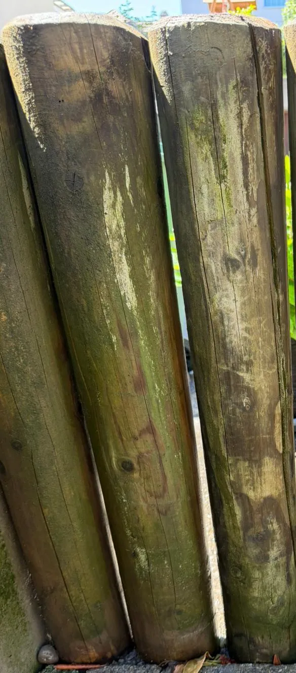 Holzfläche vor der Reinigung – Arbon